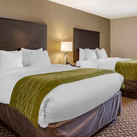 Comfort Inn Wings Stadium Kalamazoo Eksteriør bilde