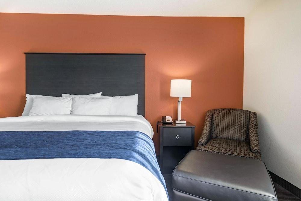 Comfort Inn Wings Stadium Kalamazoo Eksteriør bilde