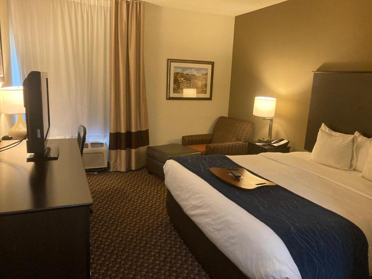 Comfort Inn Wings Stadium Kalamazoo Eksteriør bilde
