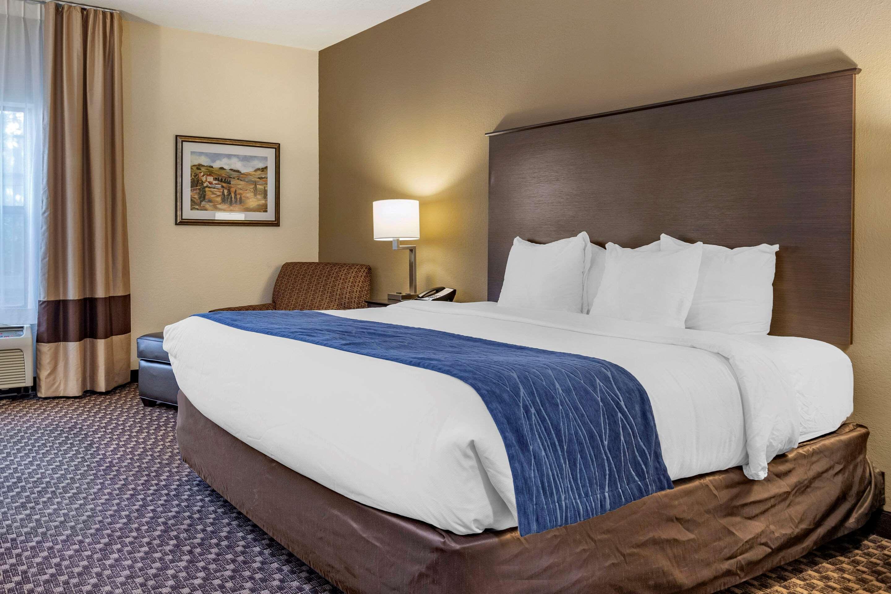 Comfort Inn Wings Stadium Kalamazoo Eksteriør bilde