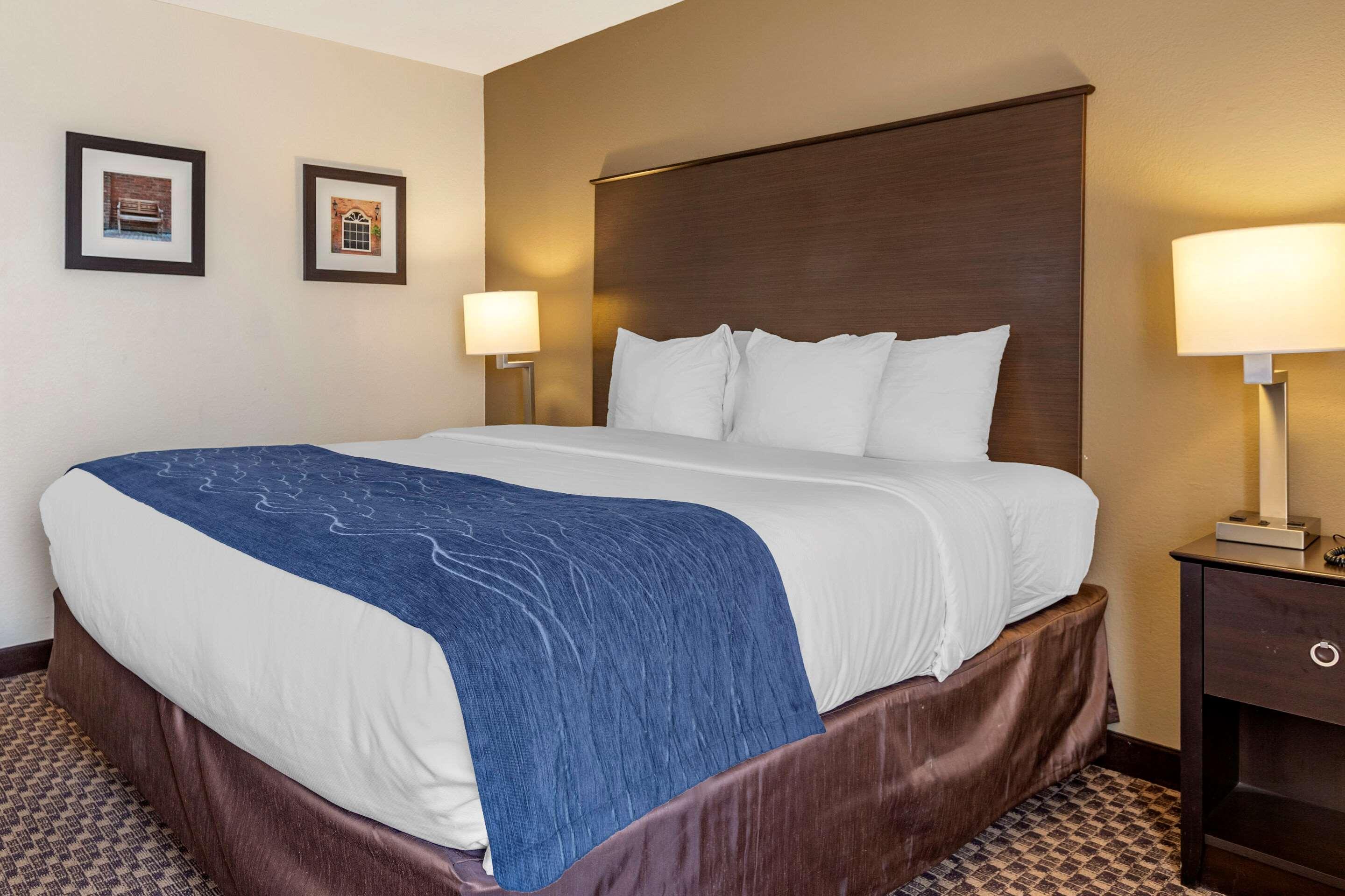 Comfort Inn Wings Stadium Kalamazoo Eksteriør bilde