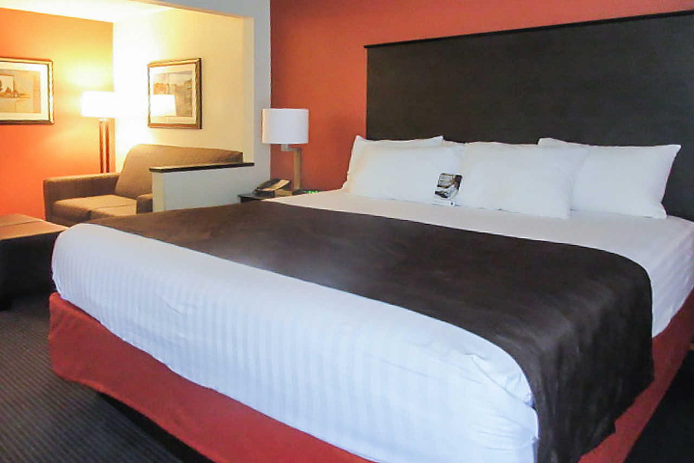 Comfort Inn Wings Stadium Kalamazoo Eksteriør bilde